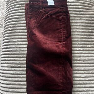 Loft Burgundy Velvet Pant